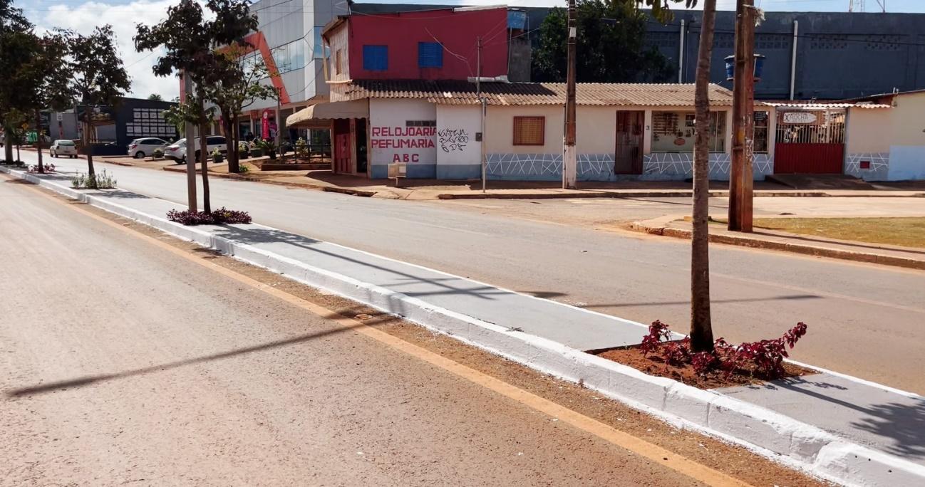 REVITALIZAÇÃO DO CANTEIRO CENTRAL GO – 521 NO JARDIM ABC